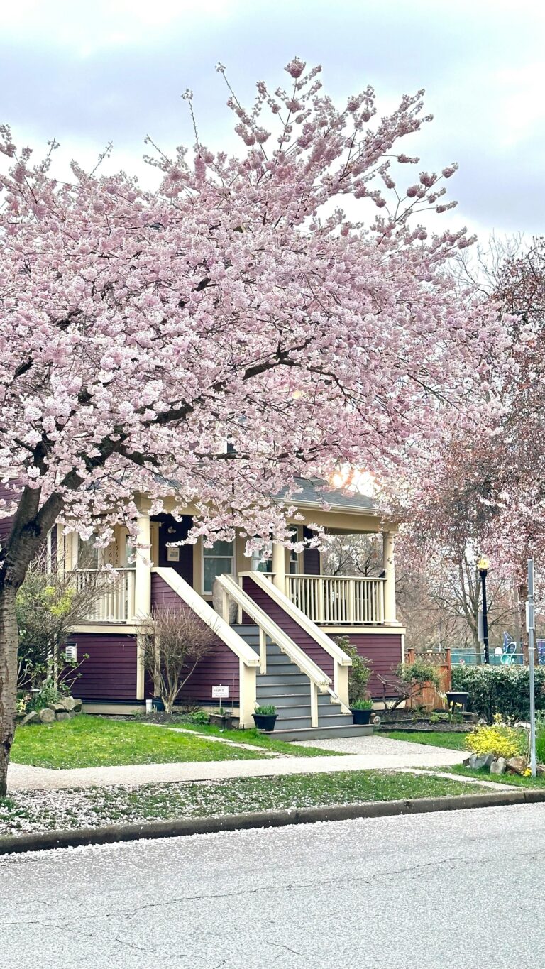 Vancouver Home Repair Services: Keeping Local Homes in Great Shape