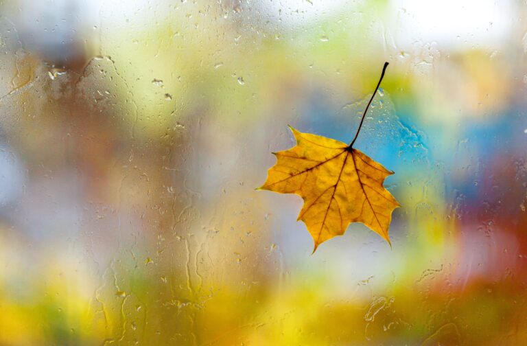 Prepare Your Home for Fall with Professional Glass Services